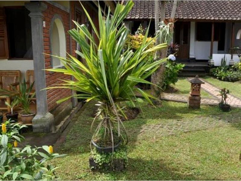 Meme Surung Guesthouse Munduk  Ngoại thất bức ảnh