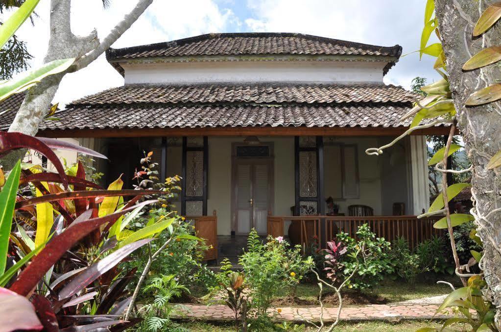 Meme Surung Guesthouse Munduk  Ngoại thất bức ảnh